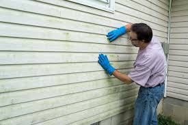 Affordable Siding Repair and Maintenance Services in Kenneth City, FL